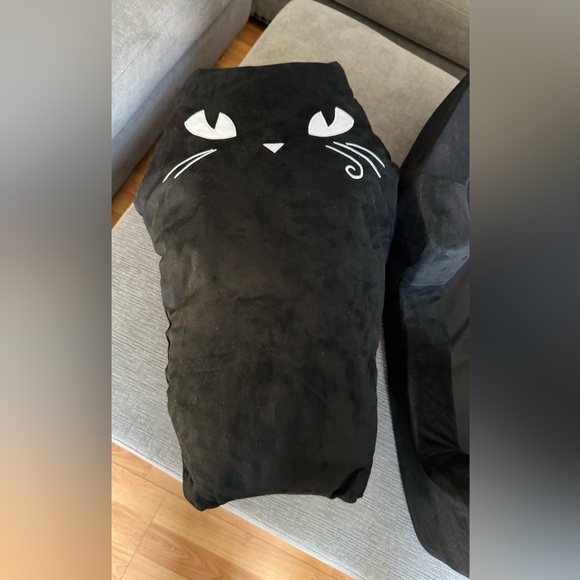 Dolls Kill x Emily the Strange Black Cat/Small Dog Coffin Bed ~20β x ~30β x ~7β - Picture 4 of 11